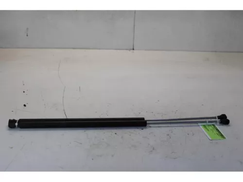 Set Gasdempers Achterklep-7878825