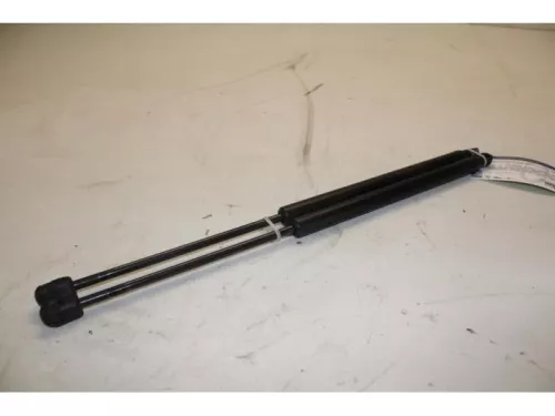 Set Gasdempers Achterklep-7877788