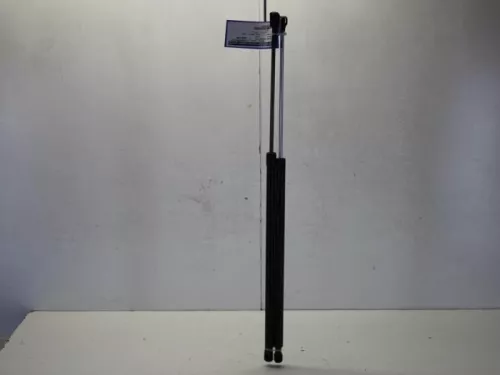 Set Gasdempers Achterklep-7881247