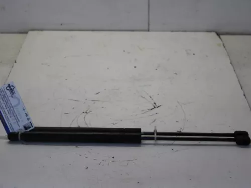 Set Gasdempers Achterklep-7880635