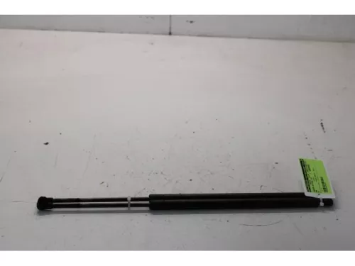 Set Gasdempers Achterklep-7878047