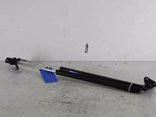 Set Gasdempers Achterklep-7887715