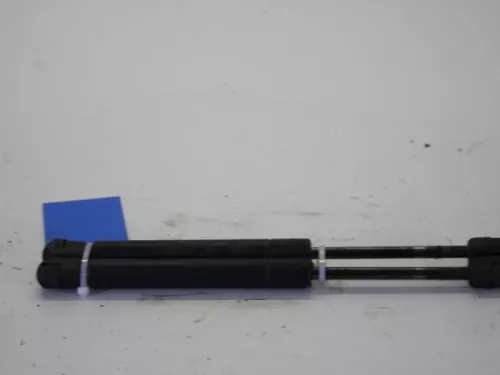 Set Gasdempers Achterklep-7820060