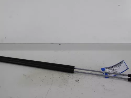 Set Gasdempers Achterklep-7887176