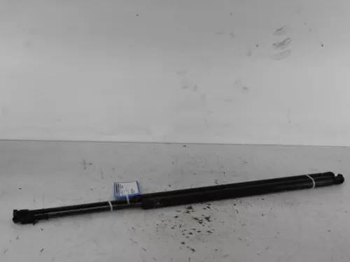 Set Gasdempers Achterklep-7571402