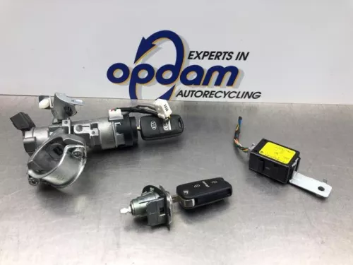 Slotenset Cilinder (compleet)-8200579