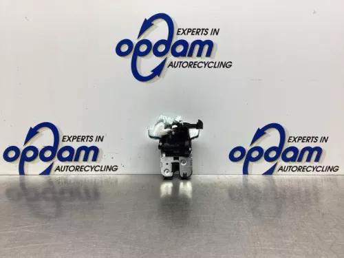 Slotmechaniek Achterklep-