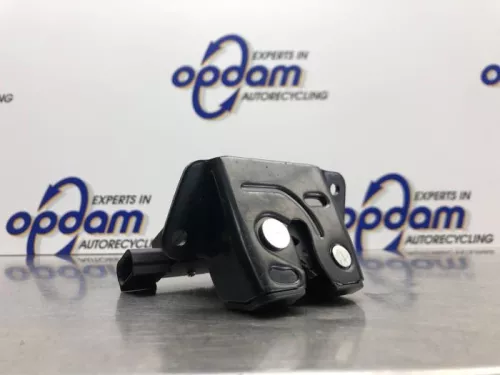 Slotmechaniek Achterklep-