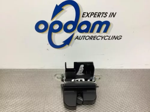 Slotmechaniek Achterklep-