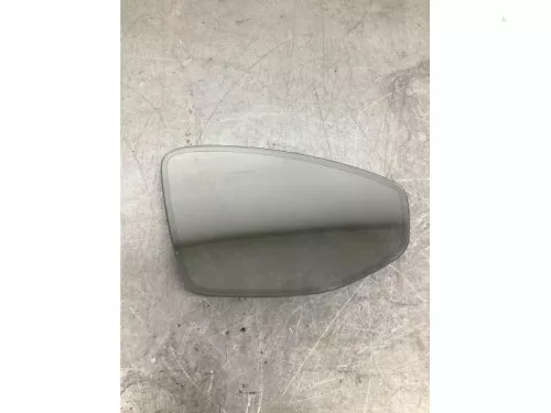 Spiegelglas rechts-8251609