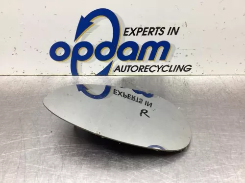 Spiegelglas rechts-8099857