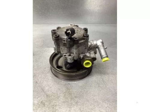 Stuurbekrachtiging Pomp-7924379