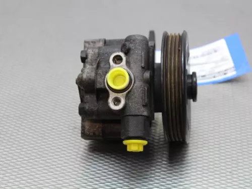 Stuurbekrachtiging Pomp-7581025