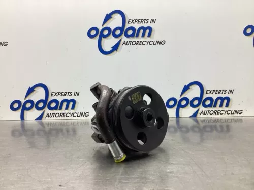 Stuurbekrachtiging Pomp-7993874