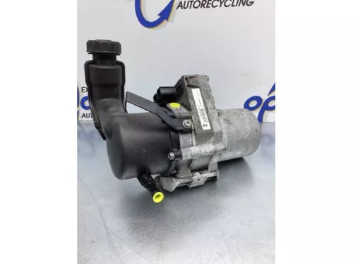 Stuurbekrachtiging Pomp-6921054