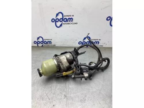 Stuurbekrachtiging Pomp-8247799