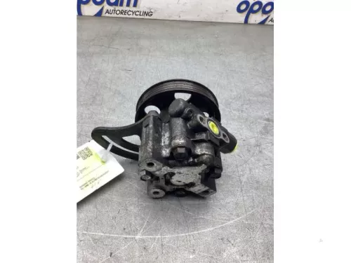 Stuurbekrachtiging Pomp-8289212