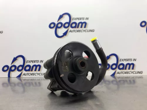 Stuurbekrachtiging Pomp-8179204