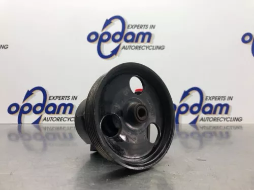 Stuurbekrachtiging Pomp-8060048