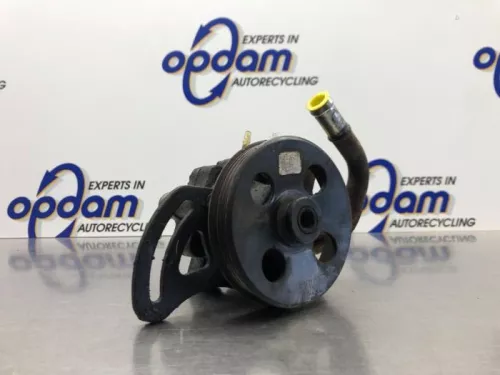 Stuurbekrachtiging Pomp-8220837