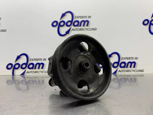 Stuurbekrachtiging Pomp-8250757