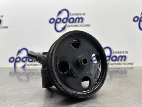 Stuurbekrachtiging Pomp-8259667