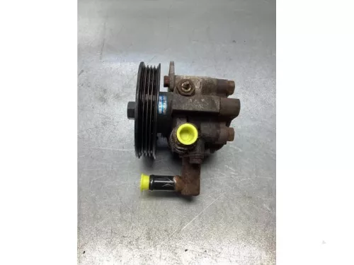 Stuurbekrachtiging Pomp-7875108