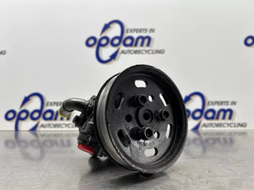 Stuurbekrachtiging Pomp-8252843