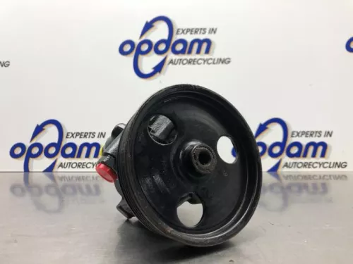 Stuurbekrachtiging Pomp-8254563