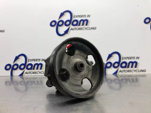 Stuurbekrachtiging Pomp-8203352