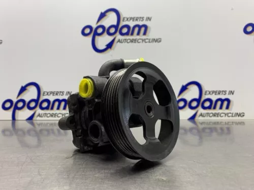 Stuurbekrachtiging Pomp-8094088