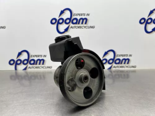 Stuurbekrachtiging Pomp-8214855