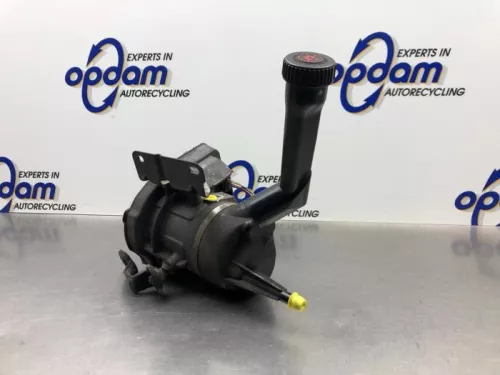 Stuurbekrachtiging Pomp-8146887