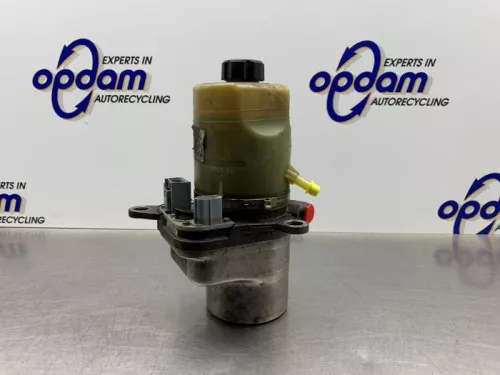 Stuurbekrachtiging Pomp-8240447