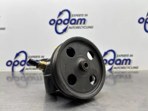 Stuurbekrachtiging Pomp-8290989