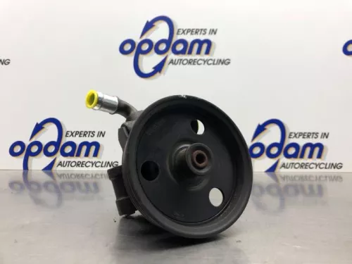 Stuurbekrachtiging Pomp-8268241