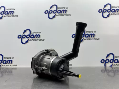 Stuurbekrachtiging Pomp-8300700