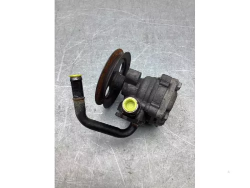 Stuurbekrachtiging Pomp-8075900