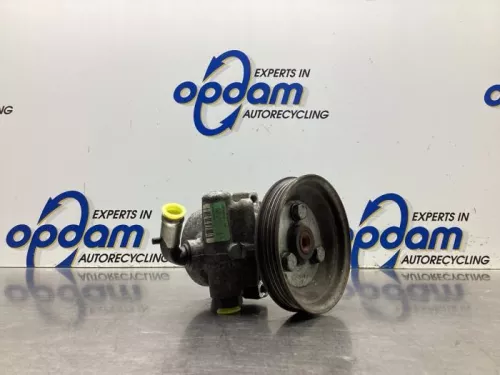 Stuurbekrachtiging Pomp-8075936