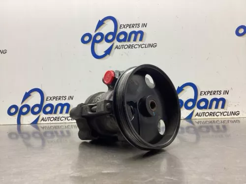 Stuurbekrachtiging Pomp-8135666