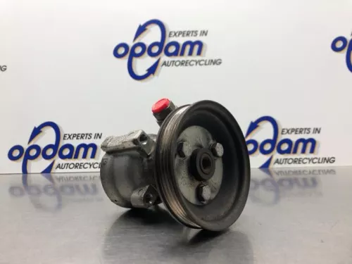 Stuurbekrachtiging Pomp-8208392