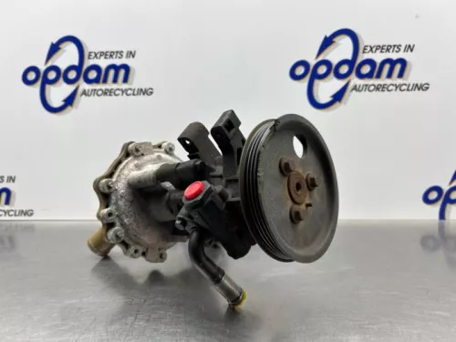 Stuurbekrachtiging Pomp-8231424