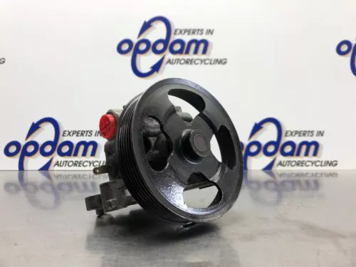 Stuurbekrachtiging Pomp-8203499