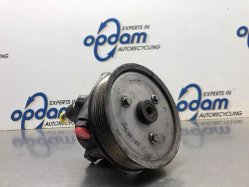 Stuurbekrachtiging Pomp-8175504