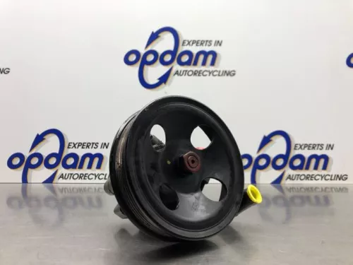 Stuurbekrachtiging Pomp-8217675