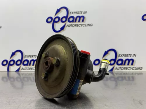 Stuurbekrachtiging Pomp-8275348