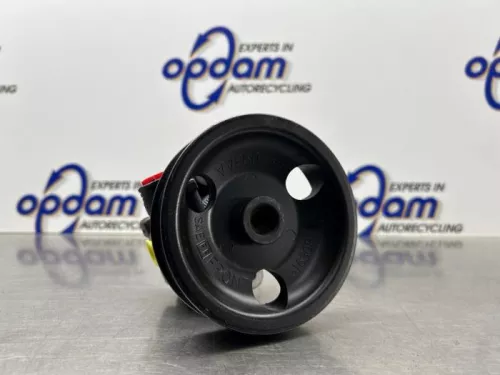 Stuurbekrachtiging Pomp-8301318