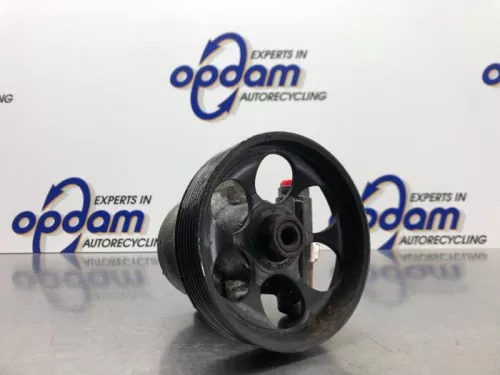 Stuurbekrachtiging Pomp-8133834