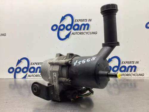 Stuurbekrachtiging Pomp-8131553