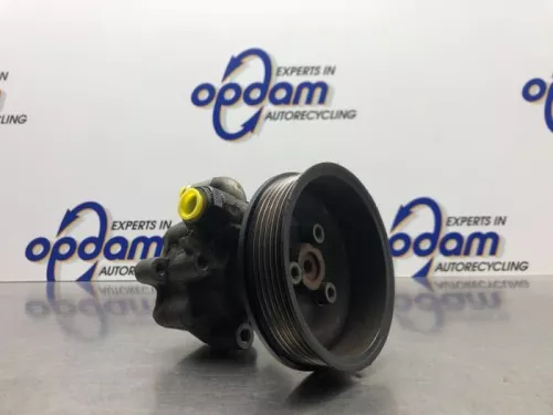 Stuurbekrachtiging Pomp-8217038